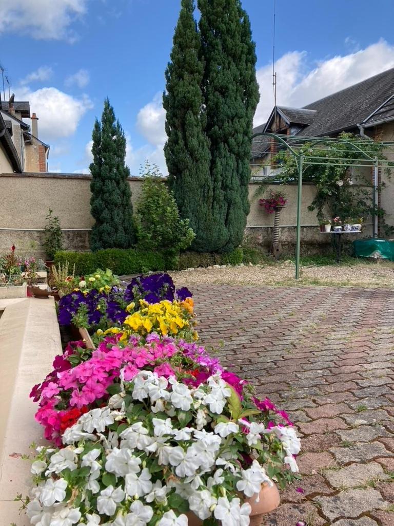 Villa Capucine Aubigny-sur-Nère Eksteriør billede